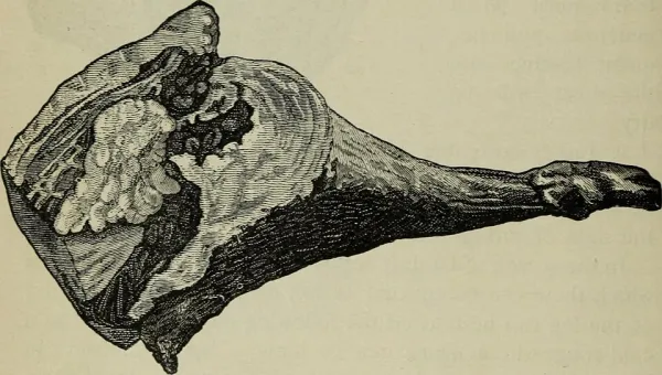 Sliced brisket with pomegranate sauce garnished with seeds