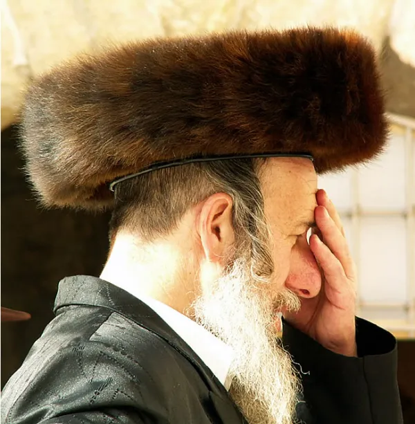 A Hasidic Jewish man wearing a shtreimel fur hat while praying at the Western Wall in Jerusalem