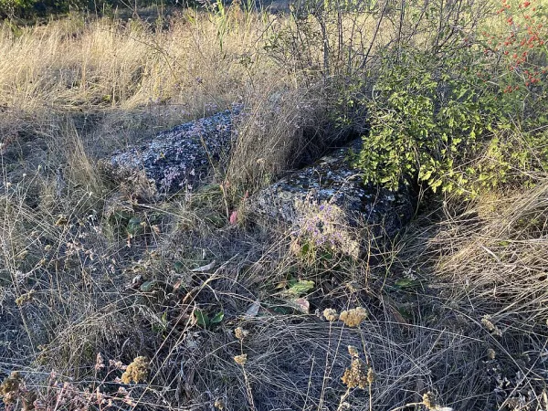 A quiet moment of comfort between two people