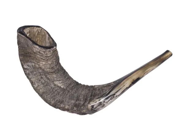 A shofar (ram's horn), blown on Rosh Hashanah to mark the new year