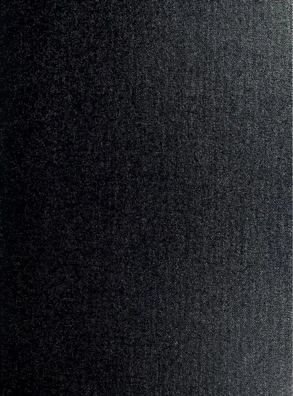 Yom HaShoah memorial candle burning in remembrance