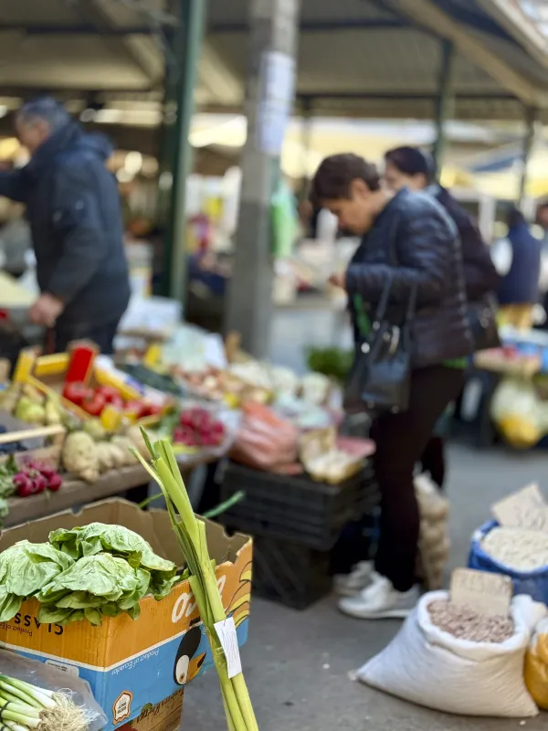 A lush garden with fruit trees and vegetable plants