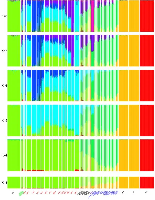 The ornate interior of the Magen David Synagogue in Kolkata, built by the Baghdadi Jewish community