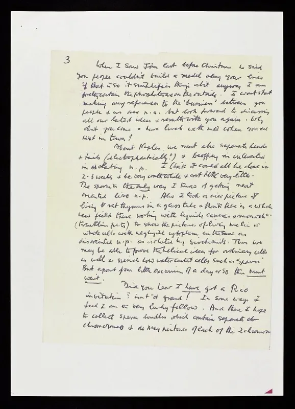 Portrait of scientist Rosalind Franklin