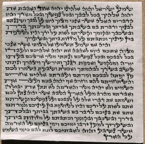 A mezuzah scroll showing the handwritten text of the Shema in Hebrew