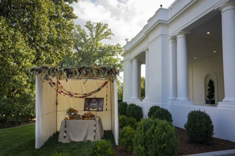 A beautifully decorated sukkah with hanging fruits and greenery