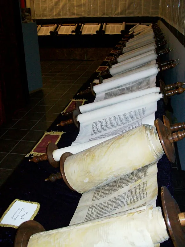 Complete set of Tanakh scrolls displayed together