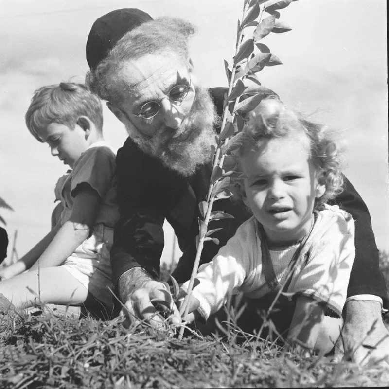 Historical photograph of Tu BiShvat tree planting in Israel