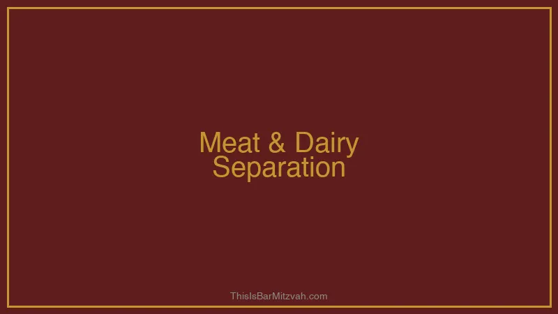 Separate meat and dairy sections in a kosher kitchen
