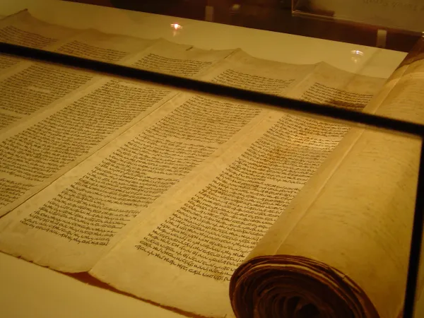 A Hebrew Torah scroll viewed from the side showing the rolled parchment — the document that contains the prohibition on pork